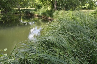 Jonzac 'taki Seugne sınırında.