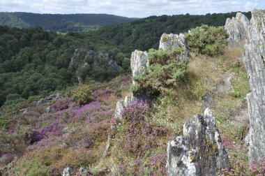 Brittany 'deki Liscuis bozkırında