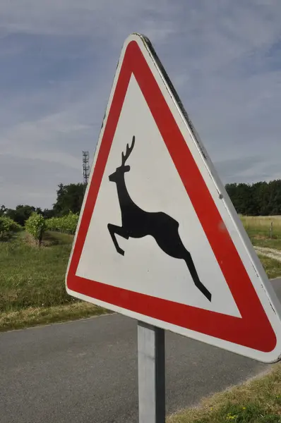 Verkehrsschild Das Auf Die Passage Von Wildtieren Frankreich Hinweist Stockbild