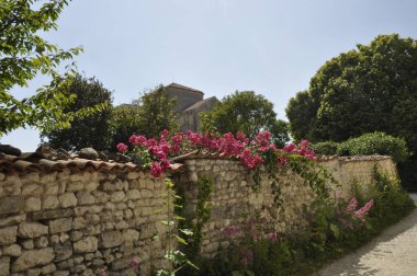 Talmon sur Gironde 'de duvardaki güller