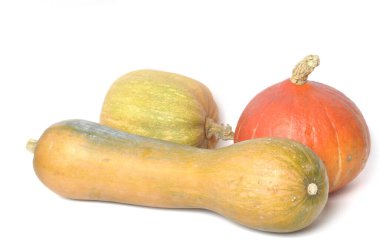 Beyaz bir arka plan üzerinde kabak