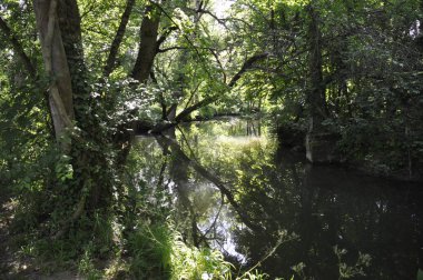 Charentes 'teki Seugne nehri.