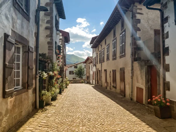 Street Houses Old Saint Jean Pied Port Paesi Baschi Francia — Foto Stock