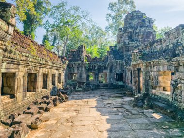 Angkor, Kamboçya 'daki Preah Khan Wat tapınağının yıkıntısı.
