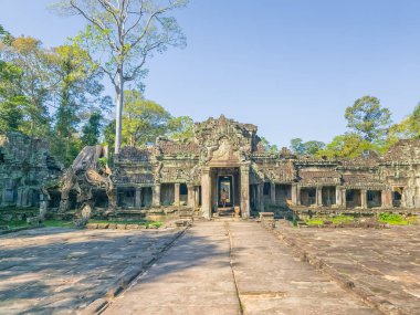 Angkor, Kamboçya 'daki Preah Khan Wat tapınağının yıkıntısı.
