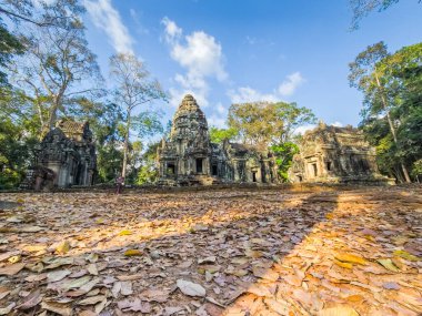 Angkor, Kamboçya 'daki antik Thommanon Wat tapınağının yıkıntısı.