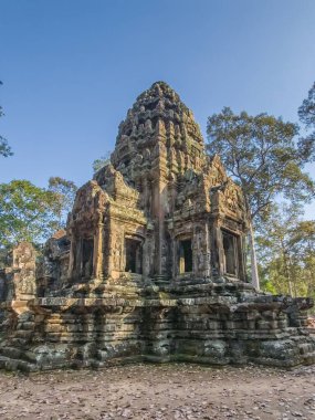 Angkor, Kamboçya 'daki antik Thommanon Wat tapınağının yıkıntısı.