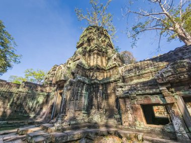 Angkor, Kamboçya 'daki Ta Prohm Wat tapınağının yıkıntısı.