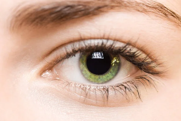 Зеленый Глаз Крупным Планом — стоковое фото