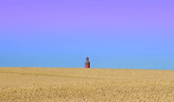 Leuchtturm Hinter Einem Reifen Getreidefeld Stockbild
