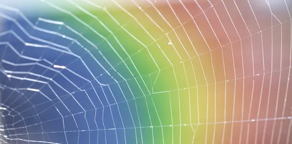 Close Van Een Spinnenweb Met Regenboogkleuren Achtergrond Rechtenvrije Stockafbeeldingen