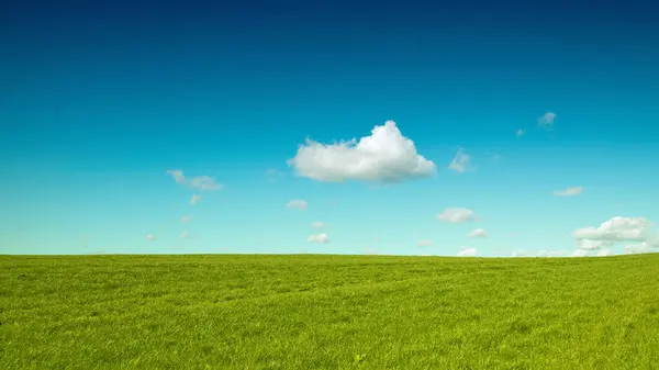 Grünes Gras Und Blauer Himmel Stockbild