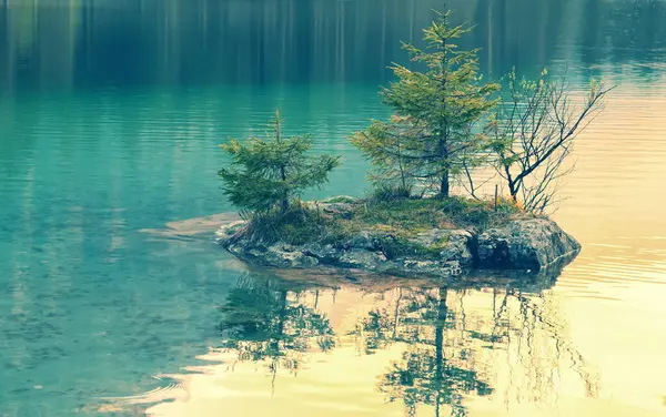 Jezero Kameny Vodě Stock Snímky