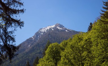 İlkbaharda mavi gökyüzü ile Alpler 'deki manzara