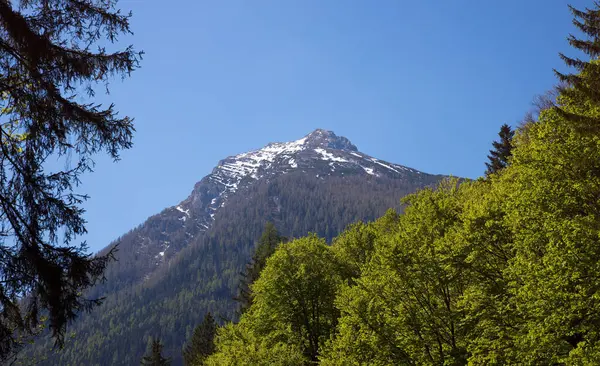 İlkbaharda mavi gökyüzü ile Alpler 'deki manzara