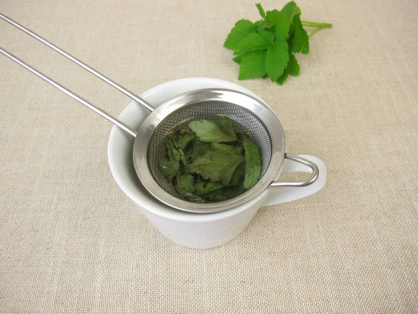 Ένα Φλιτζάνι Τσάι Από Βότανα Αποξηραμένα Goutweed Ένα Σουρωτήρι Τσαγιού — Φωτογραφία Αρχείου