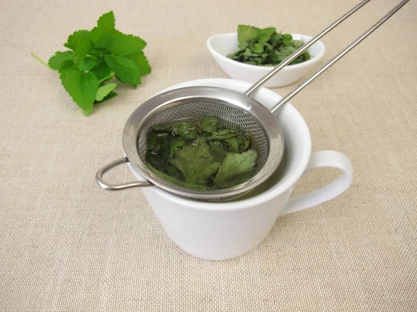 Eine Tasse Kräutertee Mit Getrocknetem Giersch Einem Teesieb — Stockfoto