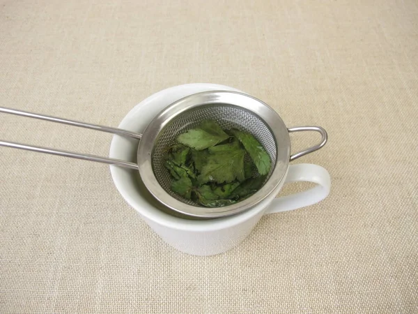 一杯香草茶 茶水滤清器里放有干醋栗 — 图库照片