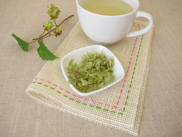 Травяной Чай Сушеными Цветами Хмеля — стоковое фото