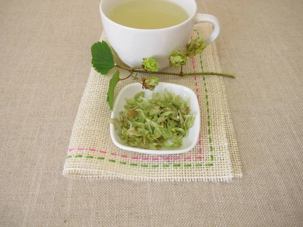 Chá Ervas Com Flores Lúpulo Secas — Fotografia de Stock