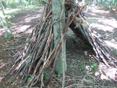 Ormandaki dallardan kendi kendine inşa edilmiş bir çalı sığınağı.