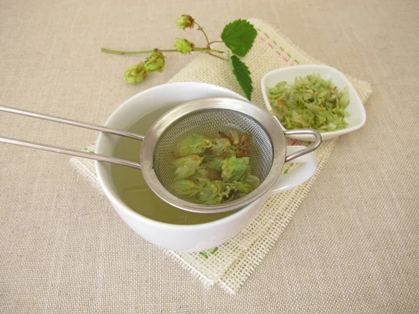Herbata Ziołowa Suszonymi Kwiatami Chmielu Filtrze Herbaty — Zdjęcie stockowe