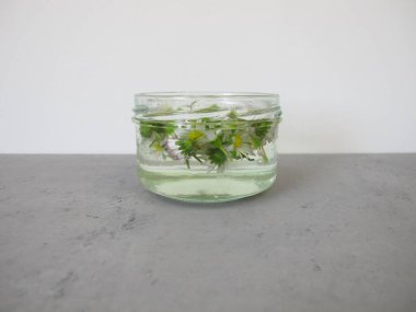 Tarçın ve portakal kabuğu kokulu doğal sabun.