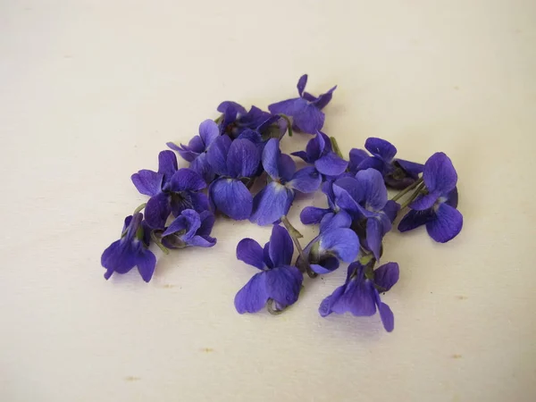 Violetas Doces Uma Tábua Madeira — Fotografia de Stock