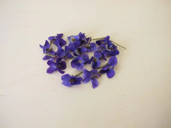 Violetas Doces Uma Tábua Madeira — Fotografia de Stock