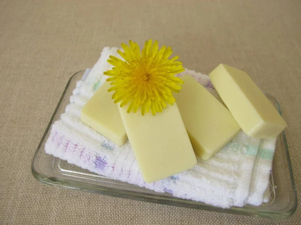 Homemade Solid Body Butter Bars Dandelion Flower Oil Cocoa Butter — Stock Photo, Image