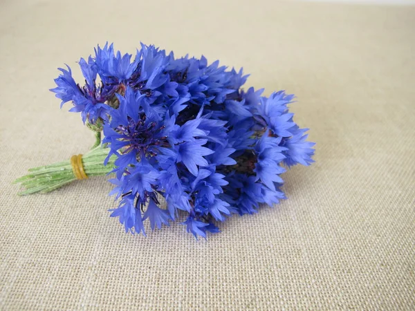 Pequeno Buquê Flores Com Flores Milho Luz Farbric — Fotografia de Stock