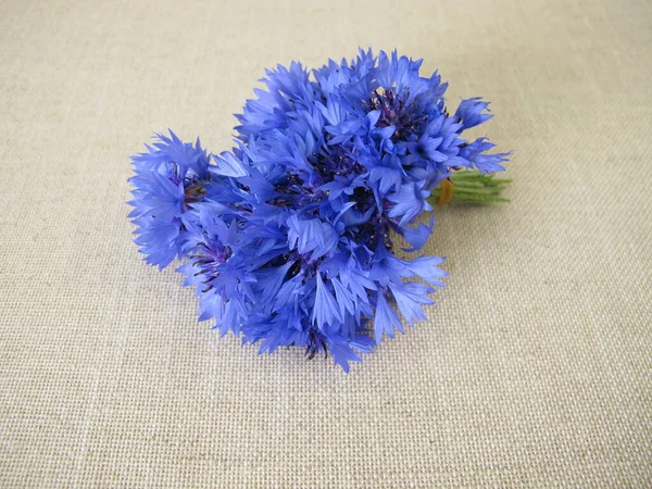 Pequeno Buquê Flores Com Flores Milho Luz Farbric — Fotografia de Stock
