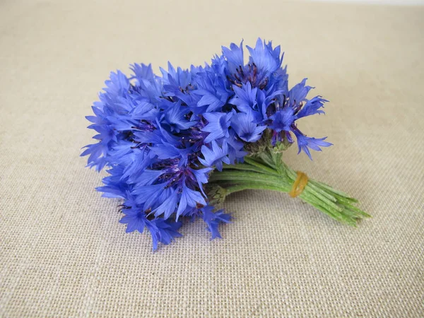 Hafif Farbric Çiçekli Küçük Bir Çiçek Buketi — Stok fotoğraf