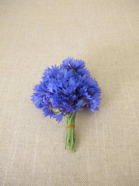 Petit Bouquet Fleurs Avec Des Bleuets Sur Léger Farbric — Photo