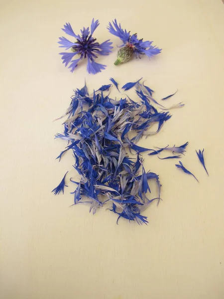 Fleur Bleuet Bleue Séchée Pétales — Photo