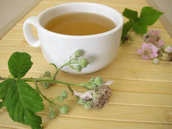 Herbal Tea Blackberry Leaves Flowers — Stock Photo, Image
