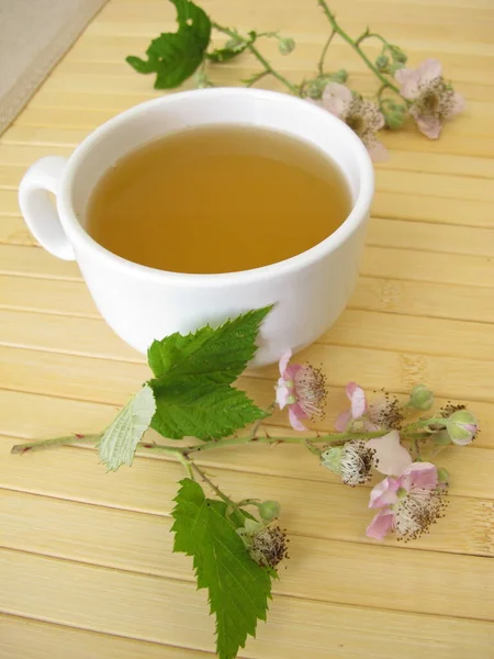 Травяной Чай Ежевикой Цветами — стоковое фото