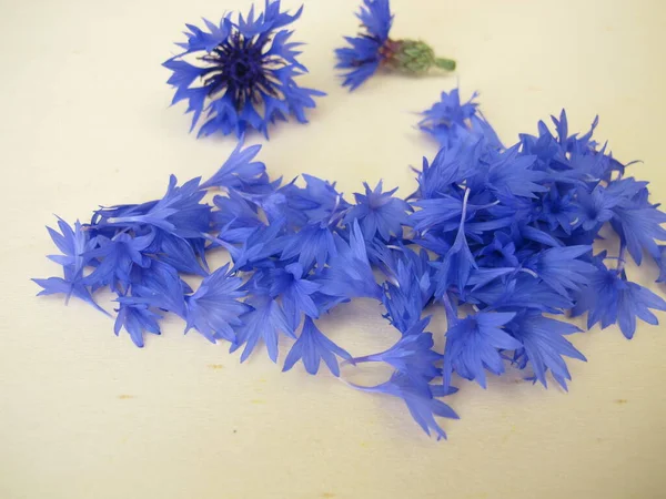 Fiore Commestibile Petali Fiordaliso Azzurri Una Tavola Legno — Foto Stock