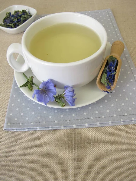 Herbata Ziołowa Suszonymi Kwiatami Liśćmi Dzikiej Cykorii Cichorium Intybus — Zdjęcie stockowe