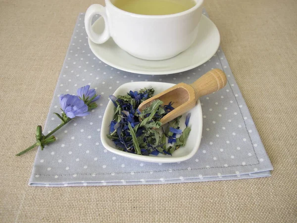 Φυτικό Τσάι Αποξηραμένα Λουλούδια Και Φύλλα Από Άγριο Κιχώριο Cichorium — Φωτογραφία Αρχείου