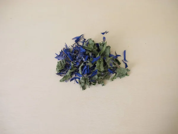 Herbata Ziołowa Suszonymi Liśćmi Cykorii Kwiatami Cichorii Herba — Zdjęcie stockowe