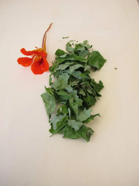 Dried Garden Nasturtium Herbs Tropaeoli Herba — Stock Photo, Image