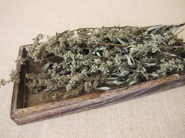 Küçük ahşap tepside kurumuş mugwort.