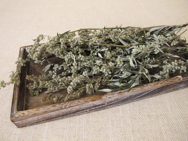 Dried Mugwort Small Wooden Tray Royalty Free Stock Images