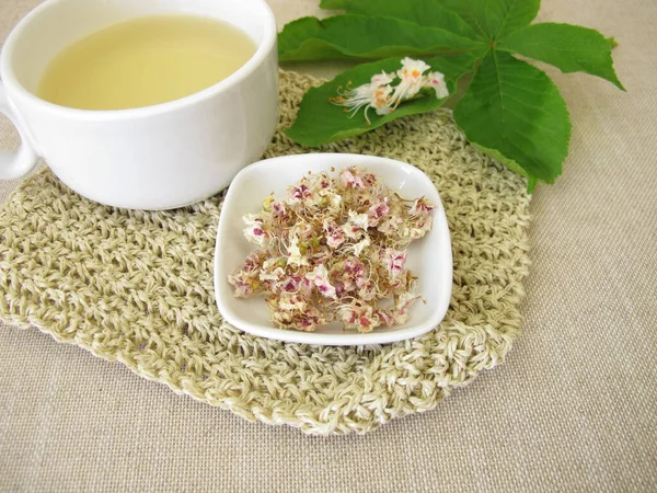 新鲜的栗子茶 来自干马栗子花 — 图库照片