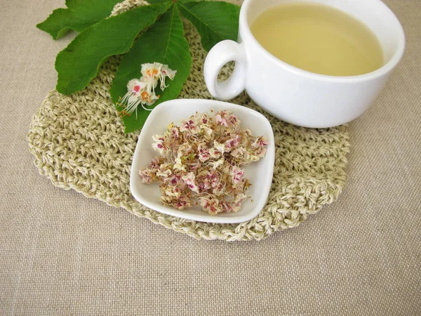 Čerstvý Kaštanový Čaj Sušených Kaštanových Květů — Stock fotografie