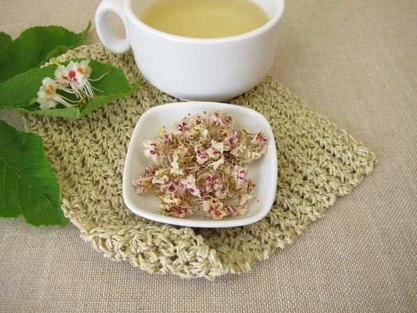 Kurutulmuş Kestanesi Çiçeklerinden Taze Kestane Çayı — Stok fotoğraf