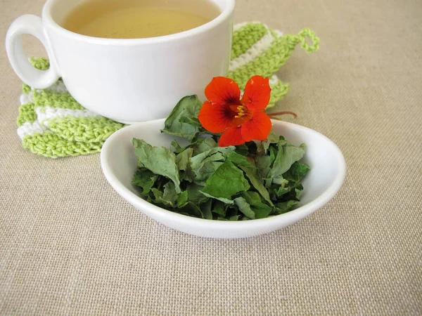 Zahradní Nasturtium Čaj Sušených Listů — Stock fotografie