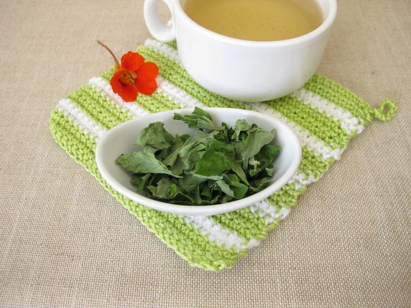 Zahradní Nasturtium Čaj Sušených Listů — Stock fotografie