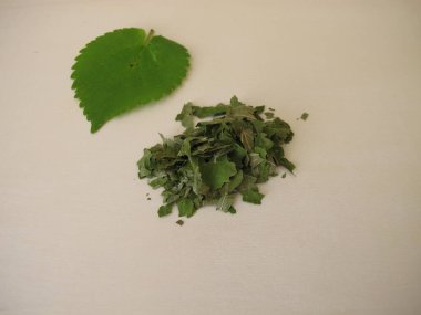 Dut yaprağı çayı için kurutulmuş beyaz dut yaprağı, Morus alba